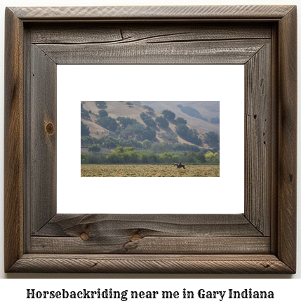 horseback riding near me in Gary, Indiana